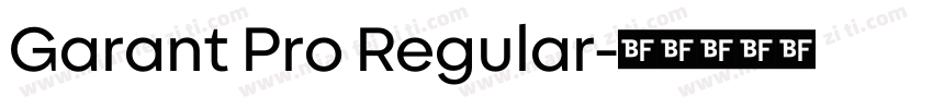 Garant Pro Regular字体转换